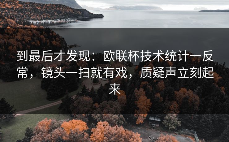 到最后才发现：欧联杯技术统计一反常，镜头一扫就有戏，质疑声立刻起来